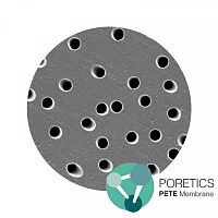 Полиэфирные трековые (ПЭТ) мембраны 5 мкм, 47 мм, гидрофильные, нестерильные, 100 шт 