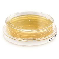 Tryptic Soy Contact Agar with LT - ICR