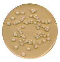 Картофельный агар с декстрозой для микробиологии