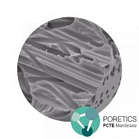 Поликарбонатные трековые мембраны (ПКТ) 1 мкм, 19 мм, гидрофильный, нестерильные, 100 шт