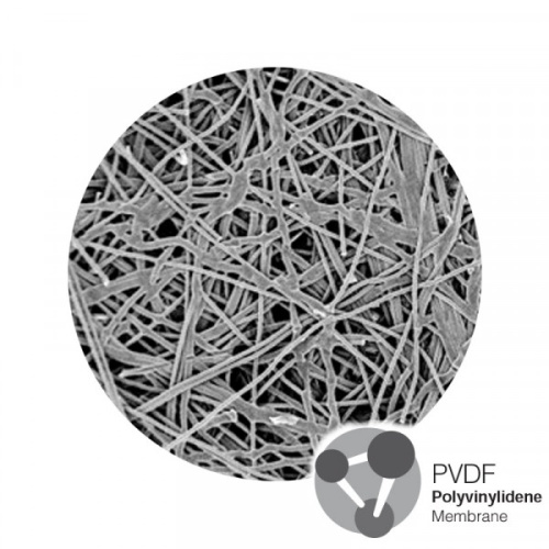Мембраны из поливинилиденфторида (ПВДФ) 0,45 мкм, 25 мм, гидрофильные, нестерильные 100 шт