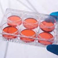 Планшеты для культивирования клеток и тканей