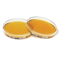 Tryptic Soy Agar with LTHTh + Penase - ICR